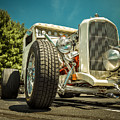 White Rod