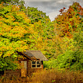 Shack at Stateline